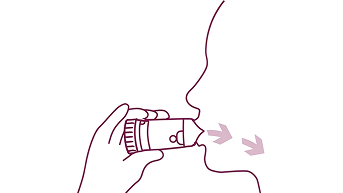 symbicort-turbohaler-dosing-window